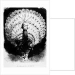 How Do We Stand in the World by E Spott