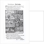 The Illustrator. by German School