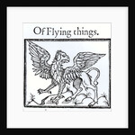 A Griffin by English School