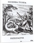 A knight defeating 'Rot' which is embodied by a dragon by School Russian