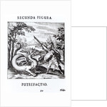 A knight defeating 'Rot' which is embodied by a dragon by School Russian