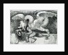 Dragon Fighting a Lion by Andrea Zoan