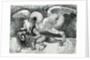Dragon Fighting a Lion by Andrea Zoan