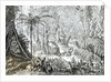 Interior of a Primeval Forest in the Amazons by English School
