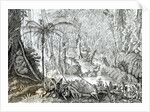 Interior of a Primeval Forest in the Amazons by English School