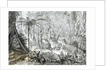 Interior of a Primeval Forest in the Amazons by English School
