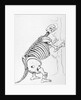Skeleton of a Mylodon by English School