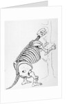 Skeleton of a Mylodon by English School