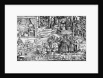 Medical Herb Cultivation, 1531 by English School