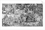 Medical Herb Cultivation, 1531 by English School