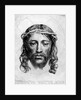 The Head of Christ, 1735 by Claude Mellan