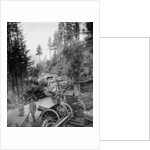 Supply Waggons in Italy during World War I by Anonymous