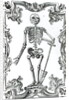 Skeleton with a Shovel by German School