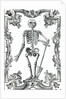 Skeleton with a Shovel by German School