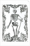 Skeleton with a Shovel by German School