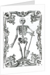 Skeleton with a Shovel by German School