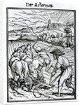 Death and the Ploughman by Hans Holbein the Younger