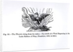 The Phoenix rising from his ashes, from a Latin edition of Pliny published in Frankfurt in 1602 by German School