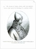 Portrait of Pope Innocent IV by School Italian