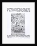 Discovery of San Domingo, from, 'Science and Literature in the Middle Ages and Renaissance', written and engraved by Paul Lacroix, 1878 by Christopher Columbus