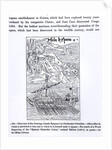 Discovery of San Domingo, from, 'Science and Literature in the Middle Ages and Renaissance', written and engraved by Paul Lacroix, 1878 by Christopher Columbus