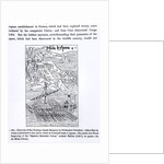 Discovery of San Domingo, from, 'Science and Literature in the Middle Ages and Renaissance', written and engraved by Paul Lacroix, 1878 by Christopher Columbus