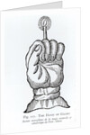 The Hand of Glory by School English
