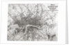 Map of Modern London and its Environs, 1845 by English School