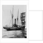 The Aurora crossing the Equator, August 1911 by Anonymous