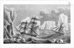 The brig 'Jane' and cutter 'Beaufoy', 1825 by Weddell Weddell