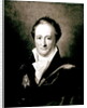 Johann Wolfgang Goethe by German School