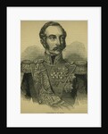 Alexander II of Russia by Russian School
