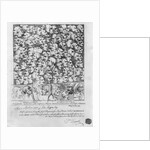 Characters and Caricatures. by William Hogarth