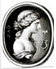 Portrait of Sappho by Thomas Worlidge