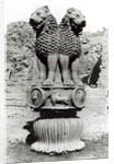 Lion capital from the Pillar of Emperor Ashoka, 273-236 BC by Indian school