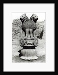 Lion capital from the Pillar of Emperor Ashoka, 273-236 BC by Indian school