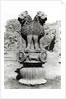 Lion capital from the Pillar of Emperor Ashoka, 273-236 BC by Indian school