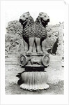 Lion capital from the Pillar of Emperor Ashoka, 273-236 BC by Indian school