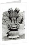 Lion capital from the Pillar of Emperor Ashoka, 273-236 BC by Indian school