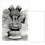 Lion capital from the Pillar of Emperor Ashoka, 273-236 BC by Indian school