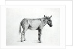 Donkey 1766 by George Stubbs