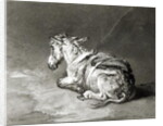 Donkey at Rest by James Ward