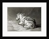 Donkey at Rest by James Ward