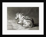 Donkey at Rest by James Ward