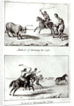 Methods of Throwing the Lasso and the Bolas by John Miers