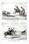 Methods of Throwing the Lasso and the Bolas by John Miers