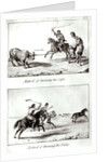 Methods of Throwing the Lasso and the Bolas by John Miers