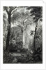 Scene in a Brazilian Forest engraved by J.Bishop by Henry George Hine