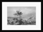 The Narrows from Fort Hamilton by William Henry Bartlett