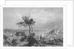The Narrows from Fort Hamilton by William Henry Bartlett